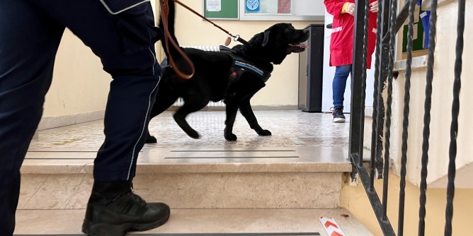 Cani antidroga nelle scuole a Nuoro