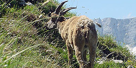 90mila pratiche agricole bloccate: emergenza 