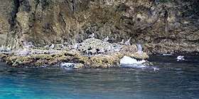 Fotografia: il mare in bianco e nero