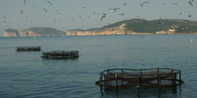 Crisi: pescatori si incatenano in mare 