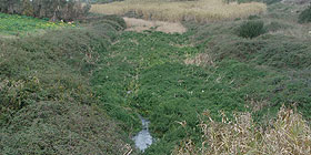 Corsi d´acqua, bando per la manutenzione